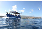 Bleu Marine Réunion