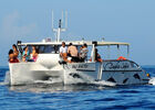 Croisière Safari