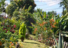 imgpreview-name-mising