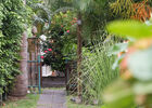 Epidendrum (L')