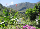 Auberge du Cap (L')