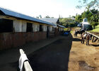 Ecurie du Relais (L')