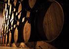 Distillerie de Savanna et Sucrerie de Bois Rouge