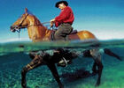 Ferme Equestre du Grand-Etang
