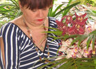 Orchidée Rose (L')