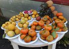 Kiosque des Mandarines