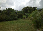 cour_clos_des_mimosas