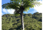 imgpreview-name-mising