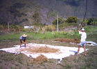 Domaine Papangue