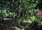 imgpreview-name-mising