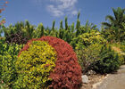 imgpreview-name-mising