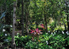 imgpreview-name-mising