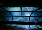 Aquarium de La Réunion
