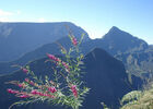 Rando Trek Réunion