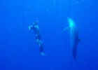 Abyss
