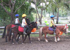 imgpreview-name-mising