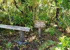 Jardin Botanique du Piton Bétoum