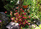Jardin Botanique du Piton Bétoum