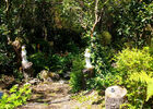 Jardin Botanique du Piton Bétoum