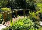 Jardin Botanique du Piton Bétoum