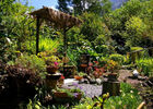 Jardin Botanique du Piton Bétoum