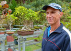 Jardin de Bonsaïs
