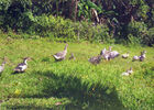Domaine d'Imelda (Le)