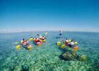 Lagon Réunion