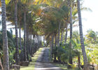 Domaine des Mille Cocos