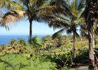 Domaine des Mille Cocos