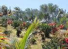 Domaine des Mille Cocos
