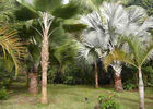 Villa Savanna (La)