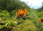 Jardin des Affouches (Le)