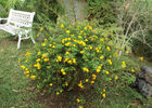 Jardin des Affouches (Le)