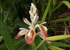 Jardin des Affouches (Le)