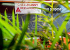 Chez Joanny