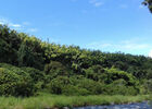 River Spa