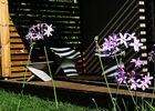 imgpreview-name-mising