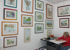 Aquarelliste