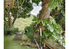 Jardin de la Maison d'Edith - Jardin de la Maison d'Edith (Le)