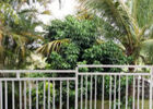 Cottage (Le)