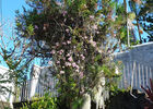imgpreview-name-mising