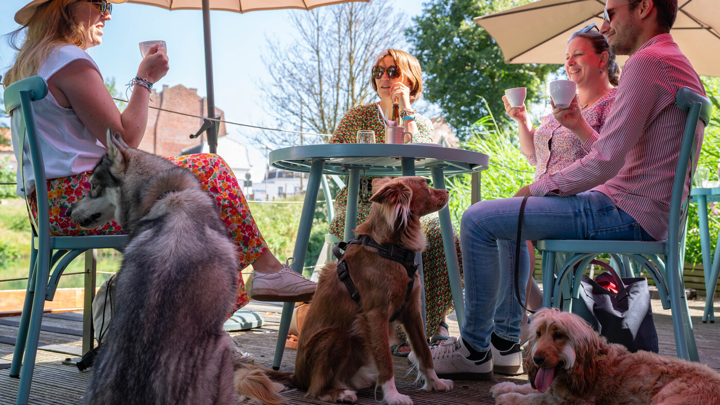 Terrasse avec les chiens