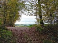 Sentier de la memoire - Nogent en Othe - CP B Collombet (24).jpg