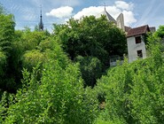 Jardin médieval d'Ervy-le-Châtel