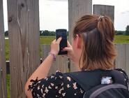 Site observation Davrey. CP Ambre Cnudde (7).jpg