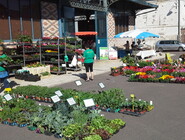 Marché d'Aix-en-Othe.jpg