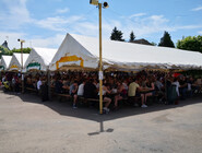 Foire aux vins. CP Laetitia OUDIN.jpg