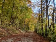 Sentier de la memoire - Nogent en Othe - CP B Collombet (15).jpg