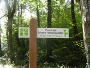 Signalétique